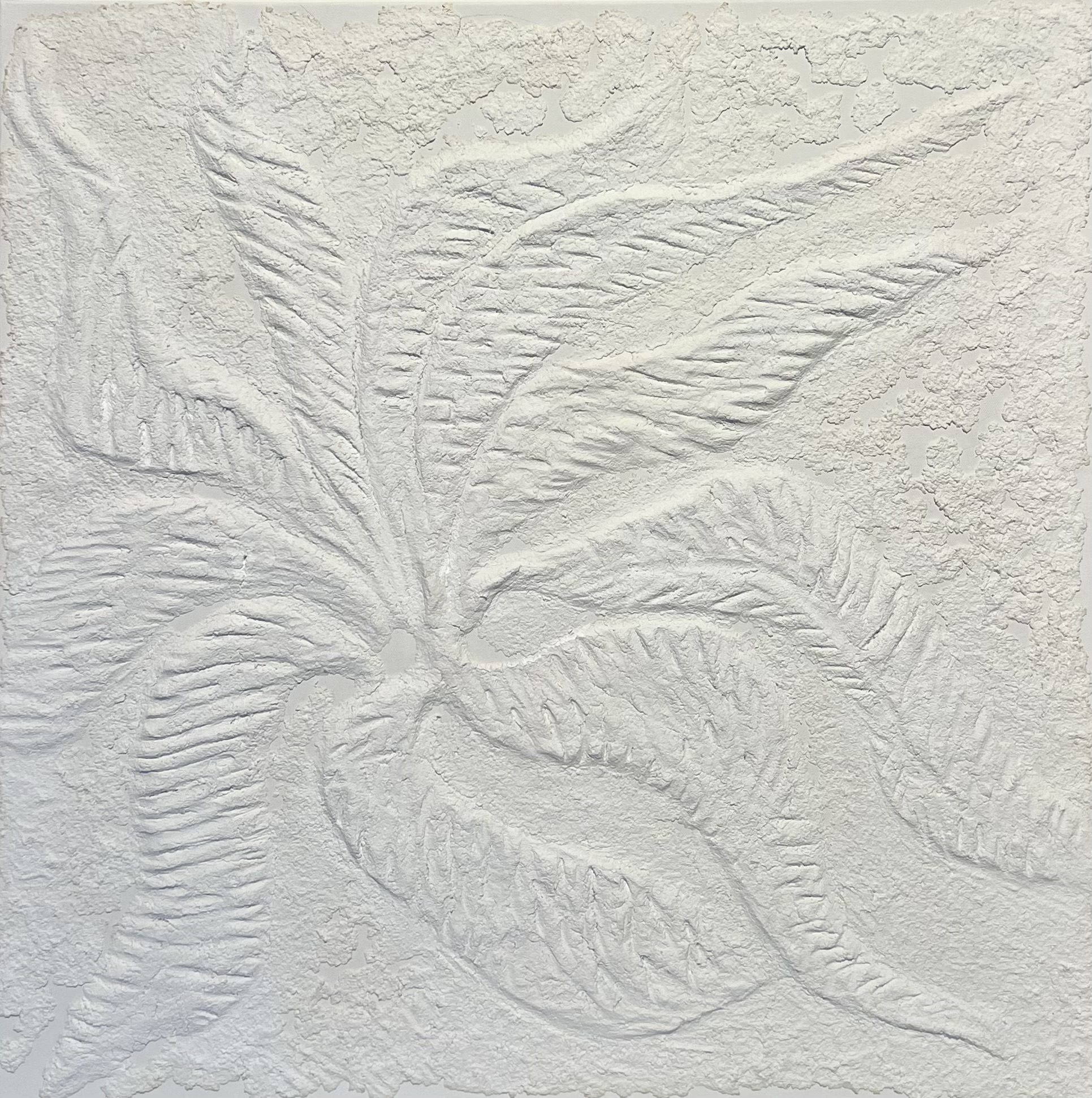 Tropical Leaf Series M3 2021 Pulp and acrylic on canvas 76 x 76 cm