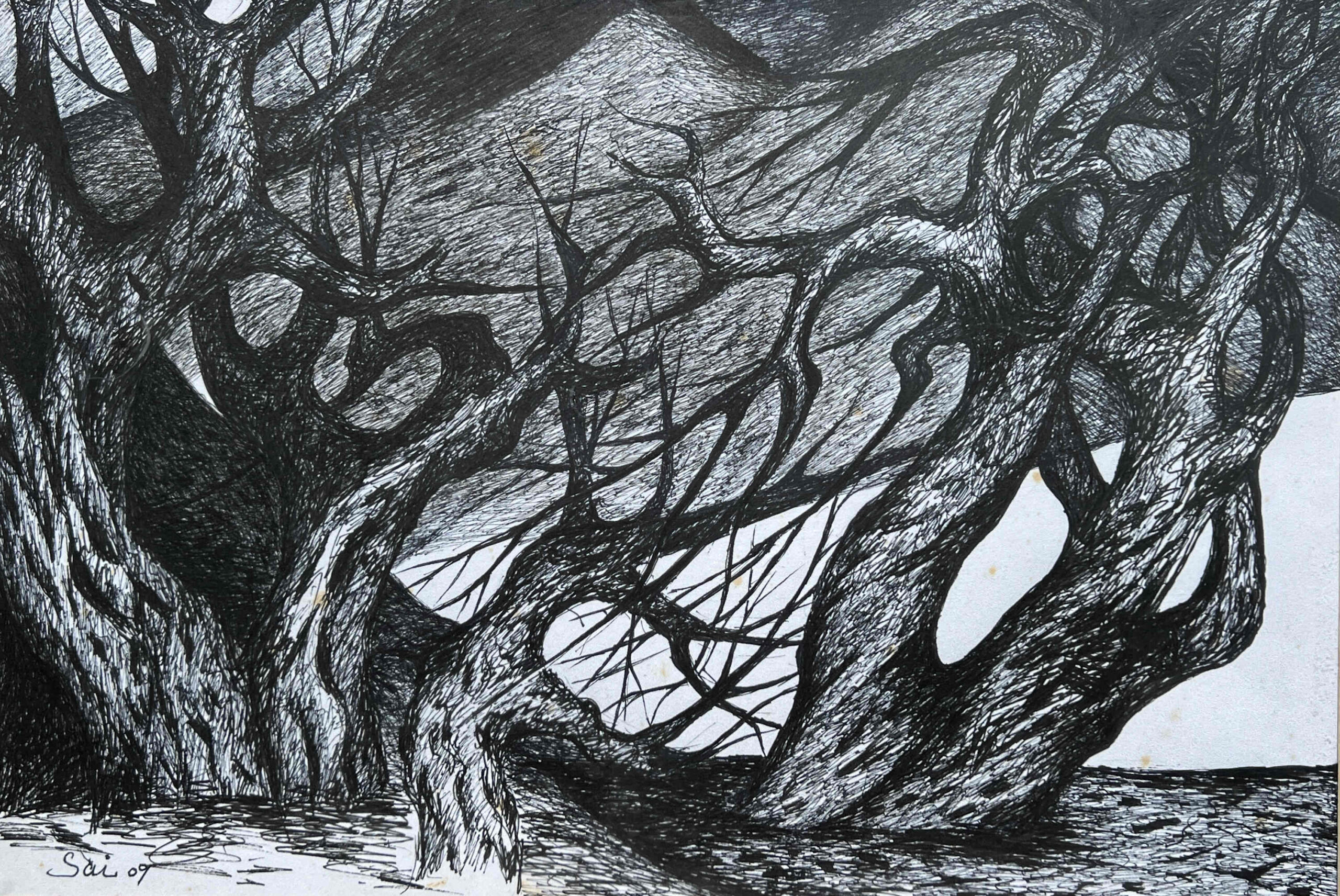 Slope 坡地，Artist: Han Sai Por，Medium: Gel pen on paper，Size (h w d): 38 x 56 cm，Creation Date: 2009