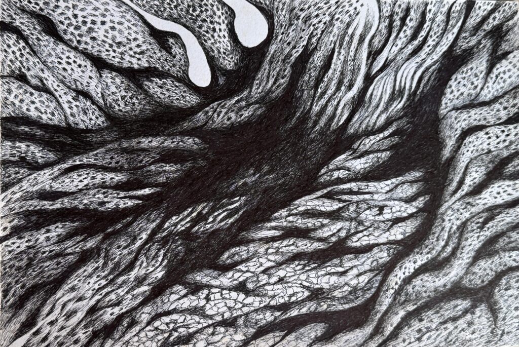 艺术家眼中的内心森林 No.7 2024，凝胶笔纸本，37.6 x 55.6 cm